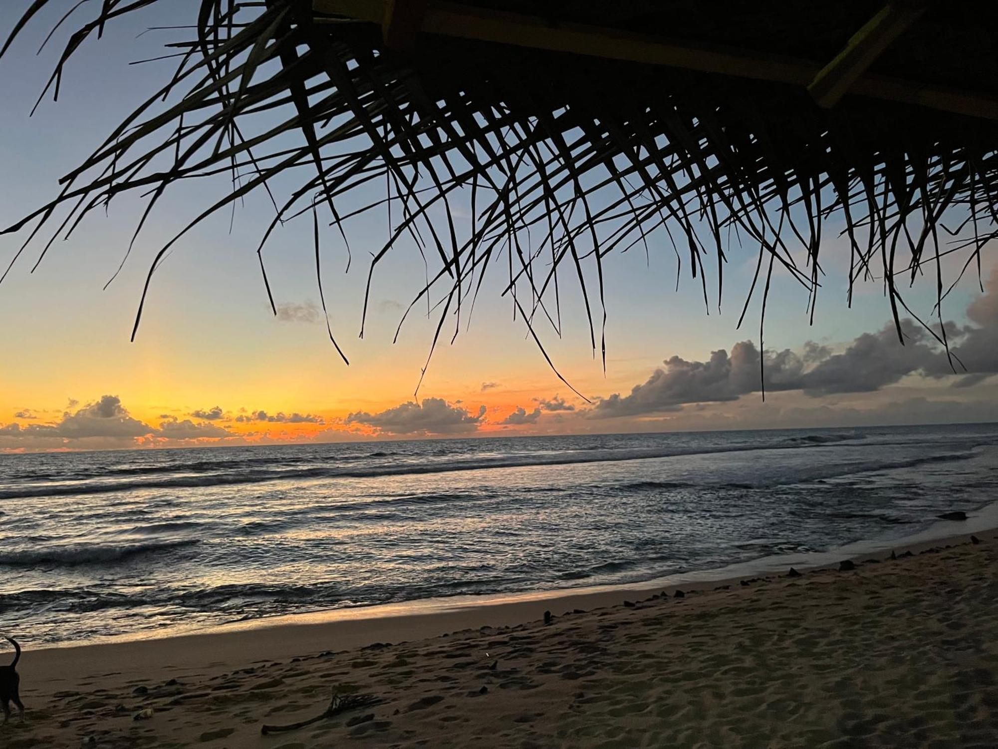 Ocean Reef Hotel ヒッカドゥワ エクステリア 写真